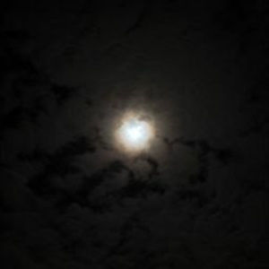 Meet your Posher, Devin